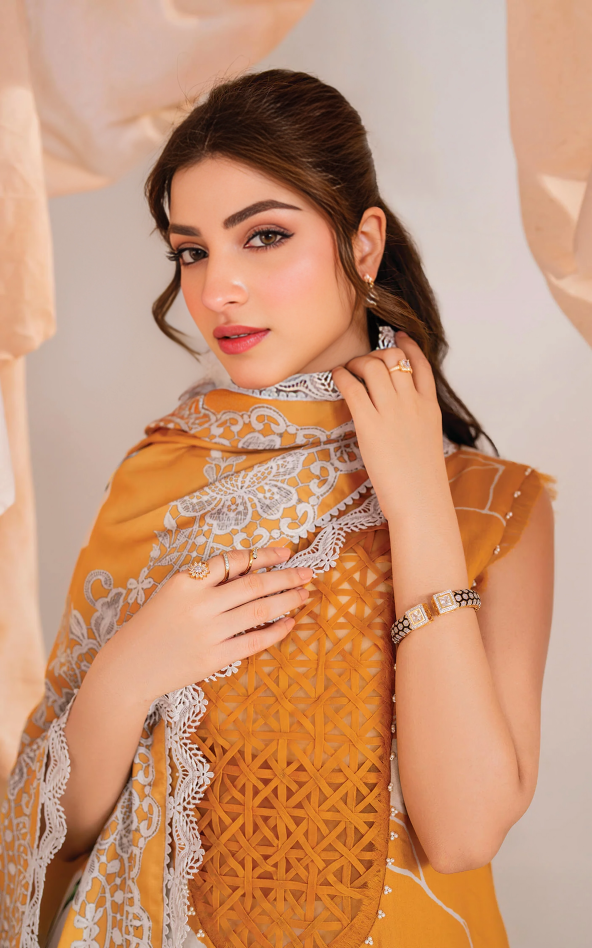 Asifa Nabeel Lawn Collection 2025